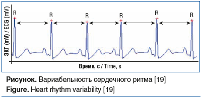 Рисунок. Вариабельность сердечного ритма [19] Figure. Heart rhythm variability [19]