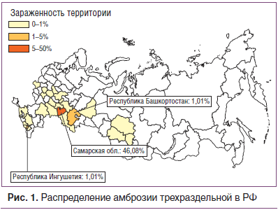 Рис. 1. Распределение амброзии трехраздельной в РФ