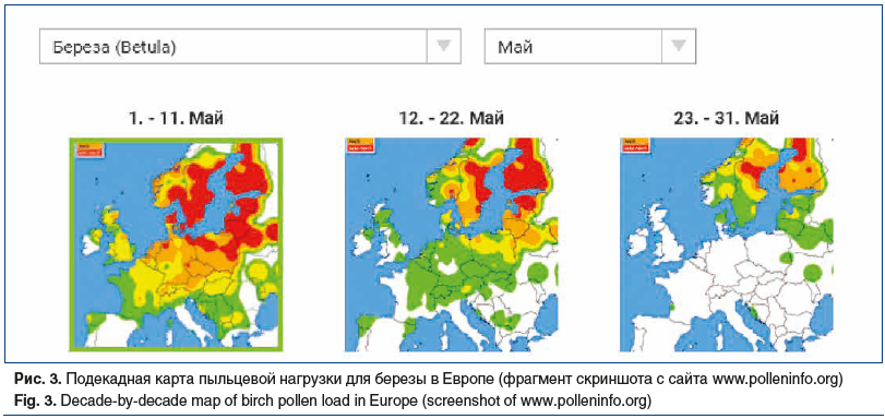 Рис. 3. Подекадная карта пыльцевой нагрузки для березы в Европе (фрагмент скриншота с сайта www.polleninfo.org) Fig. 3. Decade-by-decade map of birch pollen load in Europe (screenshot of www.polleninfo.org)