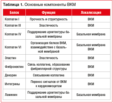 Таблица 1. Основные компоненты ВКМ