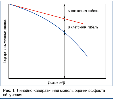 Рис. 1. Линейно-квадратичная модель оценки эффекта облучения