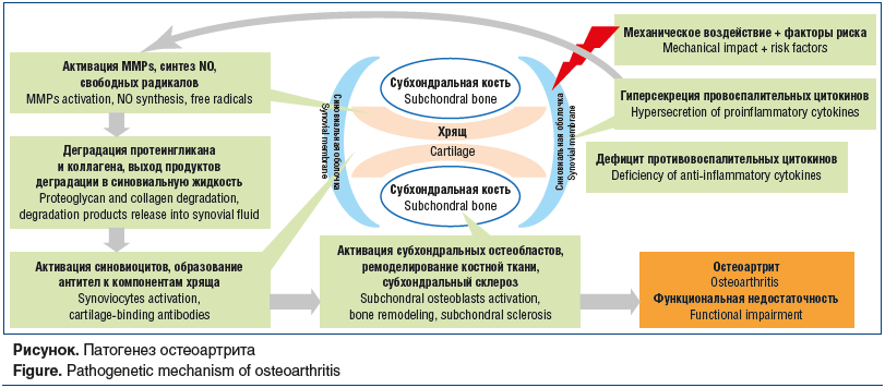 Рисунок. Патогенез остеоартрита Figure. Pathogenetic mechanism of osteoarthritis
