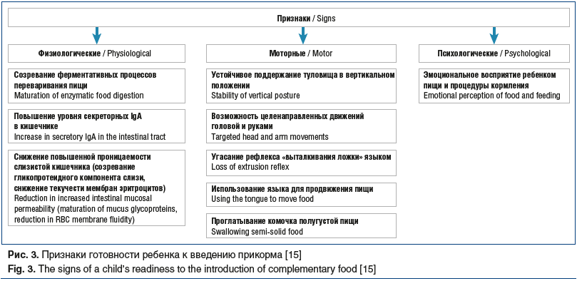 Рис. 3. Признаки готовности ребенка к введению прикорма [15] Fig. 3. The signs of a child’s readiness to the introduction of complementary food [15]